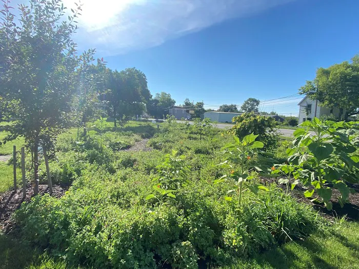 Alton RV Park Picture 5