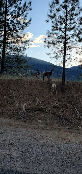 Peck Gulch Campground Picture 3