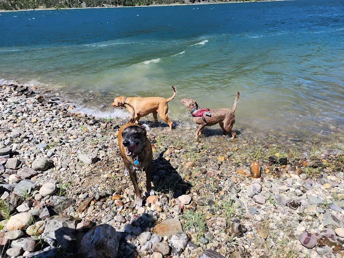 Peck Gulch Campground Picture 10