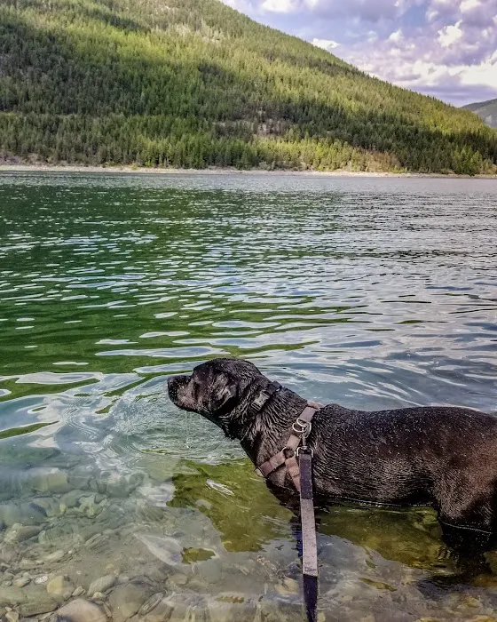 Peck Gulch Campground Picture 6