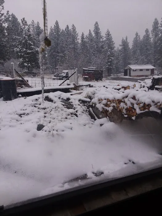 US Forestry Department Picture 1