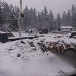 US Forestry Department