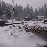 US Forestry Department ico