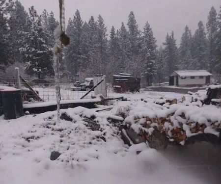 US Forestry Department