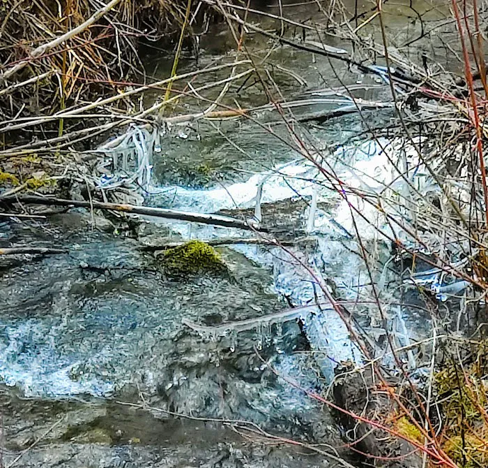 Gold Rush Campground Picture 3