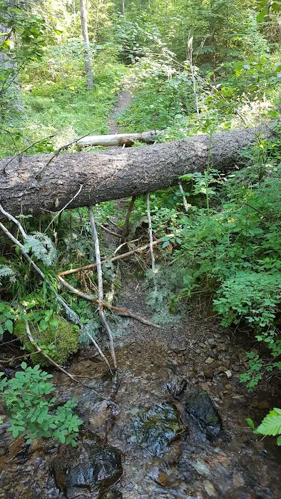 Gold Rush Campground Picture 6