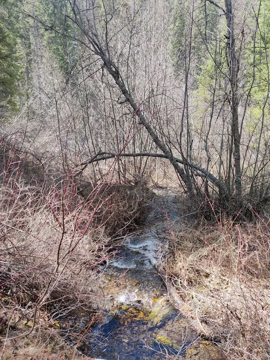 Gold Rush Campground Picture 2