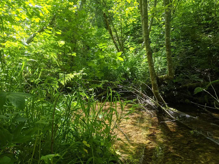 Gold Rush Campground Picture 10