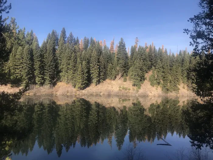 Fishtrap Lake Campground Picture 3