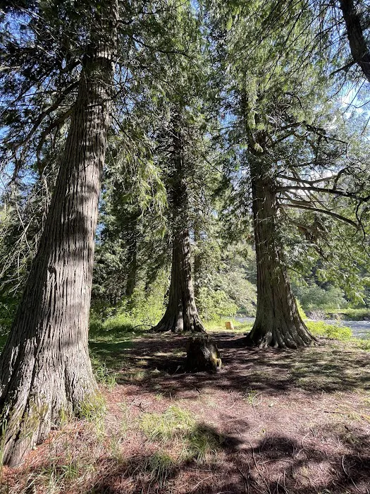 Clark Memorial Campground Picture 6