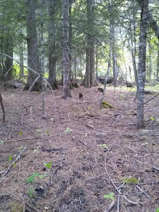 Copper King Campground Picture 1