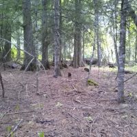 Copper King Campground ico