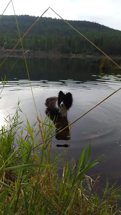 Little Mc Gregor Campground Picture 4