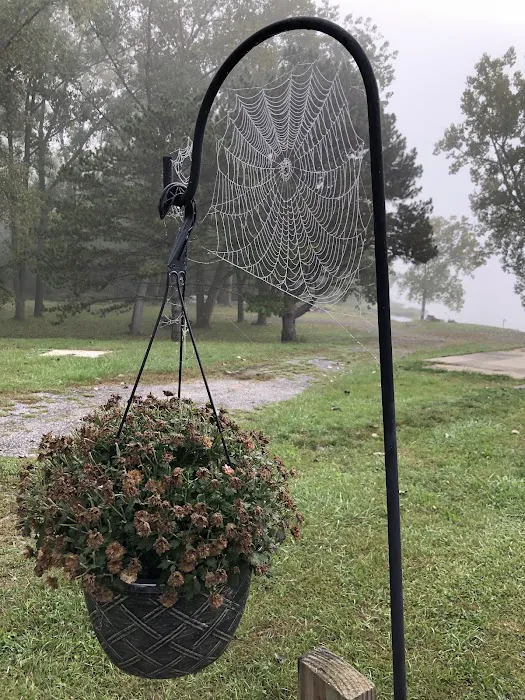 River Cove RV Park Picture 10