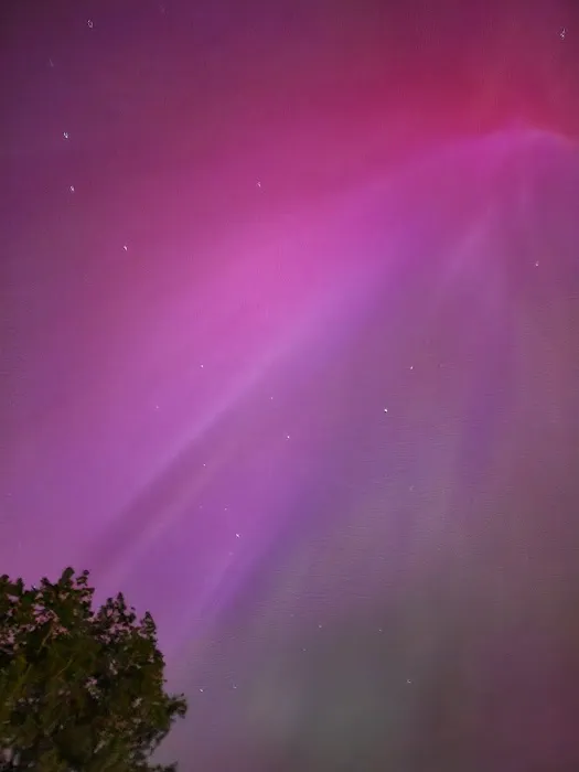 River Cove RV Park Picture 2