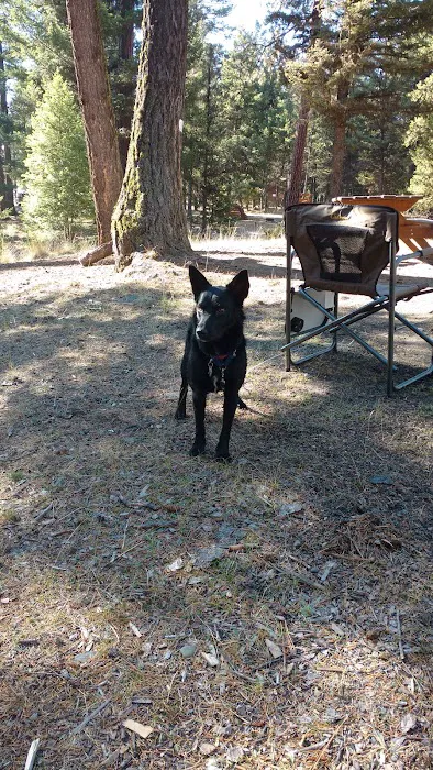 Bitterroot Lions Campground Picture 4