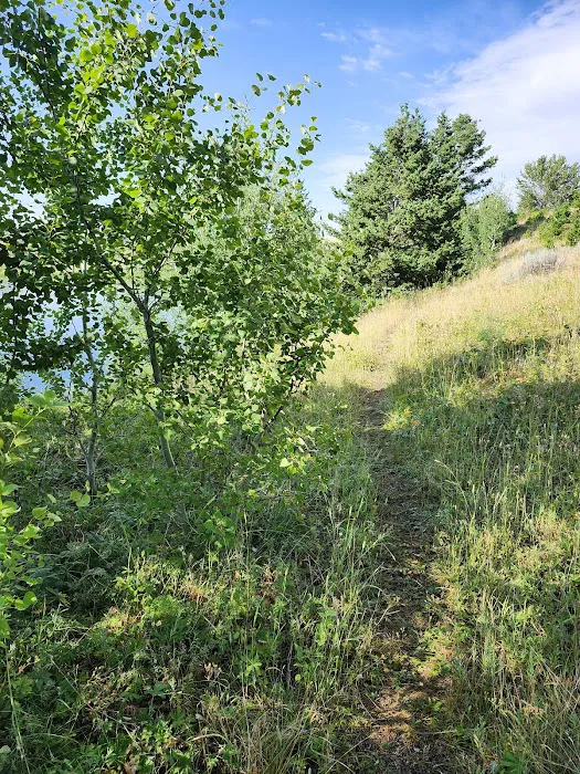 Bitterroot Lions Campground Picture 6