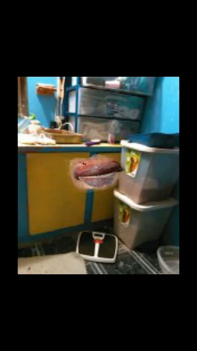 Glenwood Estates Manufactured Home Community Picture 4