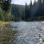 Beaver Creek Campground