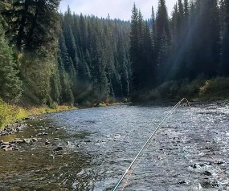 Beaver Creek Campground