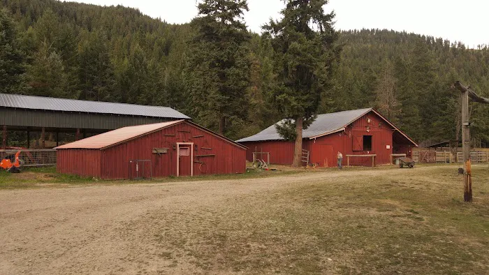 Black Diamond Guest Ranch Picture 4