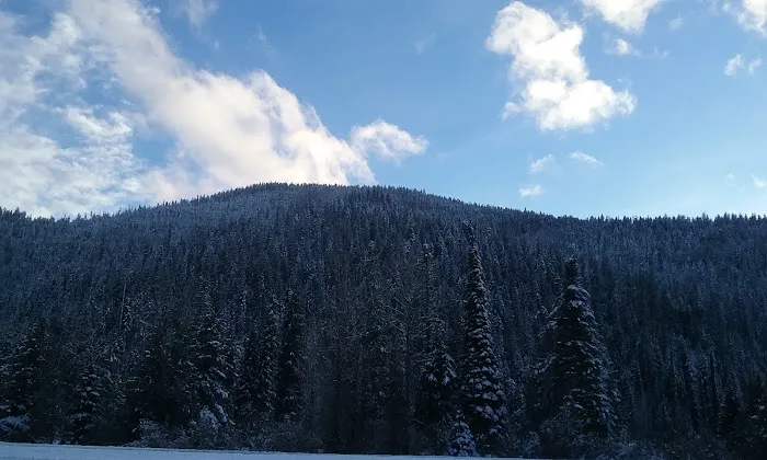 Black Diamond Guest Ranch Picture 5