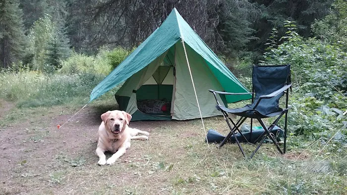 Spruce Tree Campground Picture 1