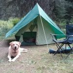 Spruce Tree Campground