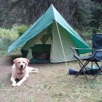 Spruce Tree Campground ico