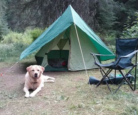 Spruce Tree Campground