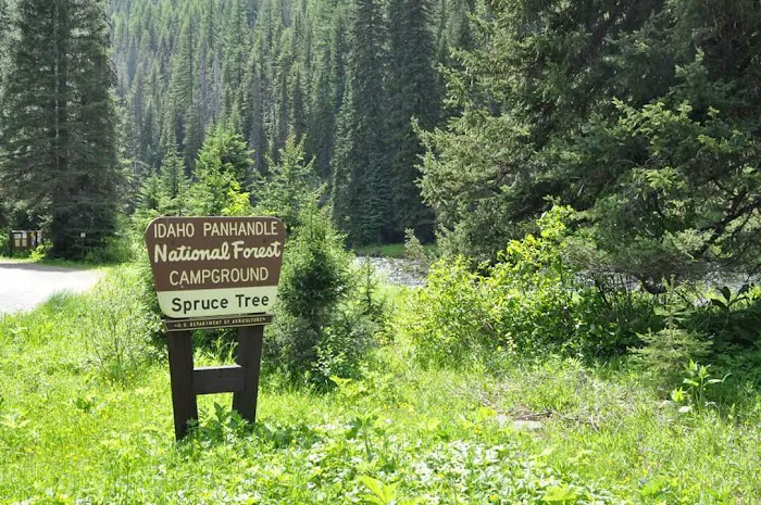 Spruce Tree Campground Picture 9