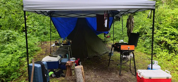 Isabella Point Campground Picture 2