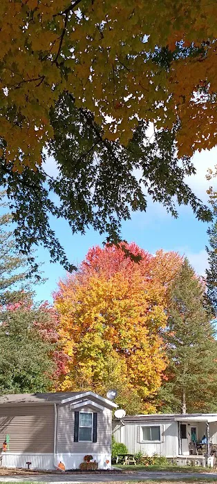 Woodside Terrace Picture 10