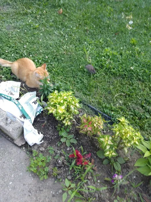 Twinwall MHC Picture 1