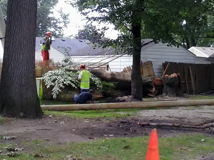 Twinwall MHC Picture 10