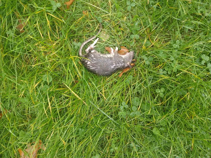 Twinwall MHC Picture 7