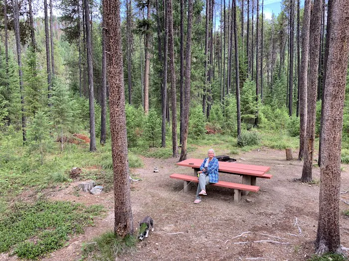 Cabin City Campground Picture 6