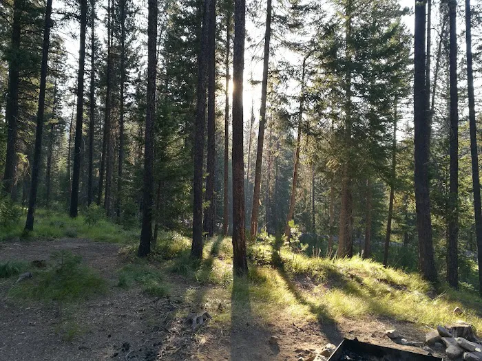 Cabin City Campground Picture 9