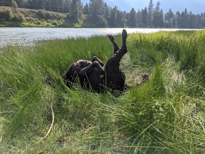 Sloway Campground Picture 8