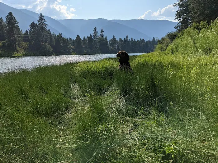 Sloway Campground Picture 5