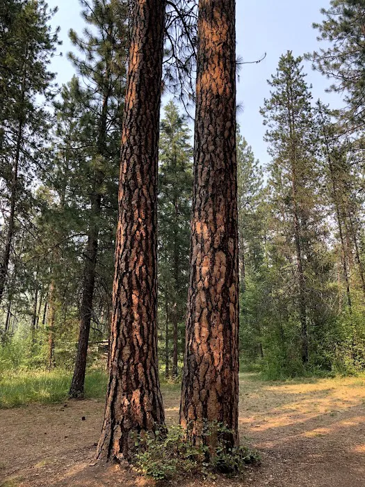 Sloway Campground Picture 10