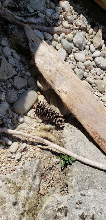 Washington Creek Campground Picture 9