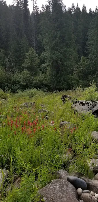 Washington Creek Campground Picture 7