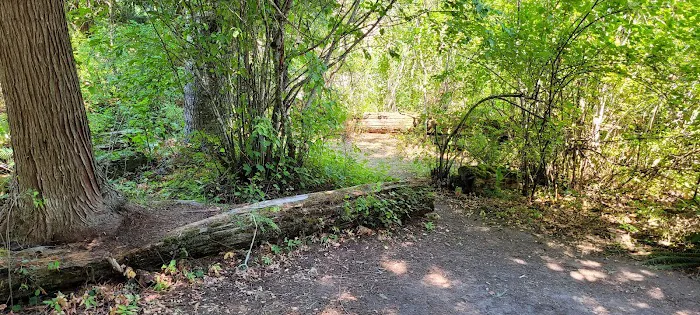 Washington Creek Campground Picture 4