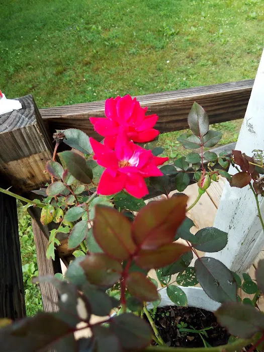 Deerfield Mobile Home Park Picture 2