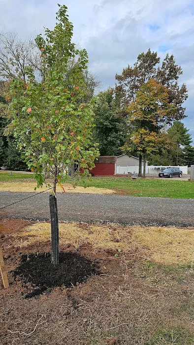 American Way RV Park Picture 4