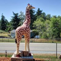 Cypress Hills RV Campground ico