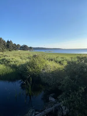 Cypress Hills RV Campground Picture 2