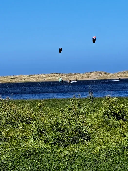 Boice-Cope Park Picture 5