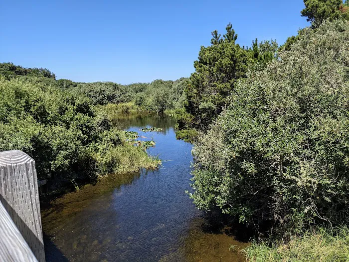 Boice-Cope Park Picture 10